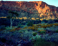 Trephina Gorge (1 of 1)