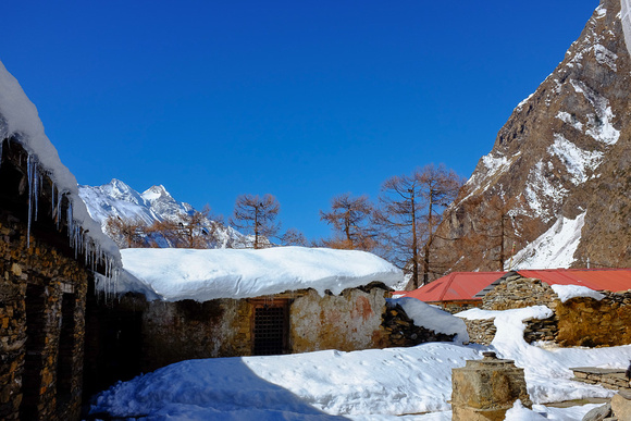 Rachen Gompa Tsum Valley