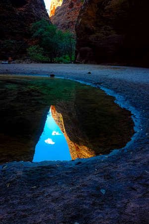 Cathedral Gorge Reflection