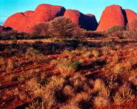 Kata Tjuta (Olgas) (1 of 1)